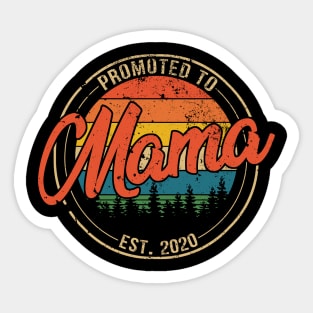Promoted to Mama Est 2020 Mothers Day Gift Sticker